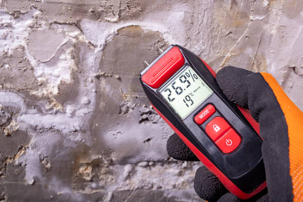 Best Certified Mold Removal  in Niagara Falls, NY