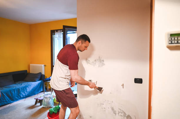 Best Professional Mold Removal  in Niagara Falls, NY